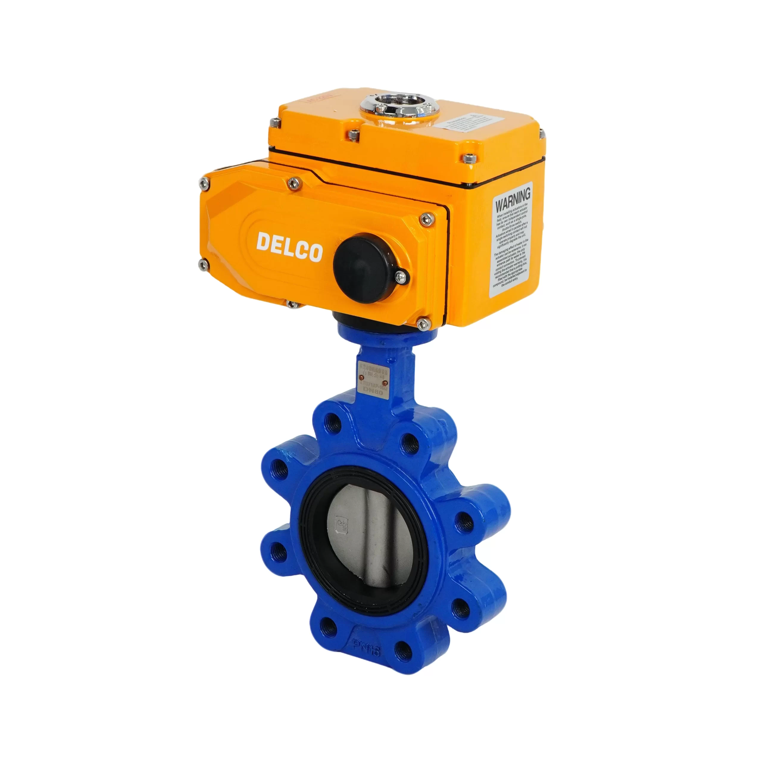 IP67-DK56-LB Electric Lug Cast Iron Butterfly Valve 3