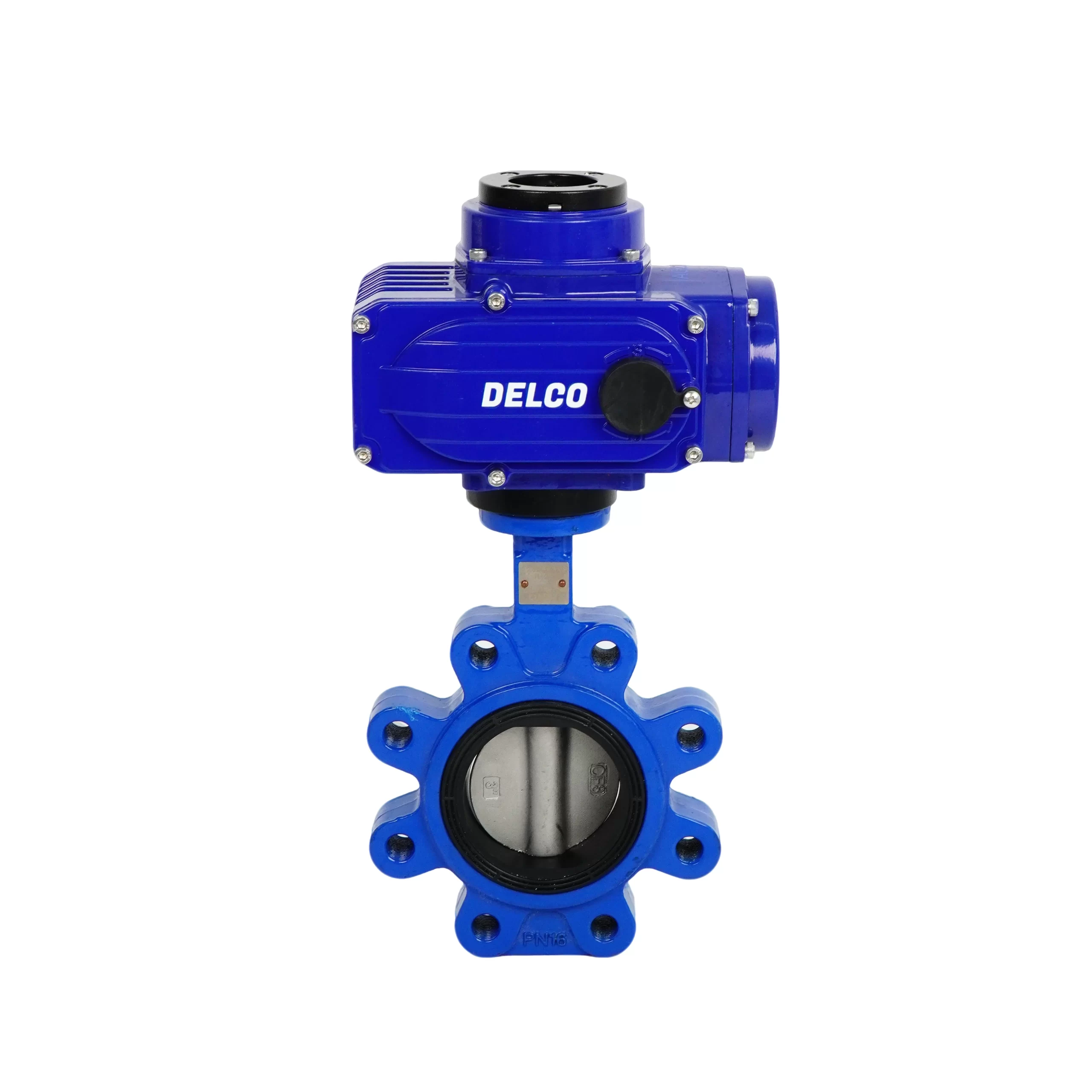 IP67-DK56-LB Electric Lug Cast Iron Butterfly Valve 4