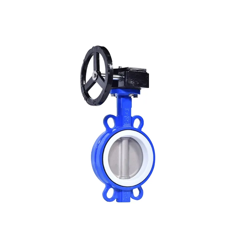 Manual Cast Iron Wafer Butterfly Valve2
